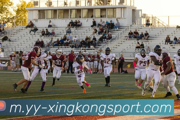 星空足球平台生态图